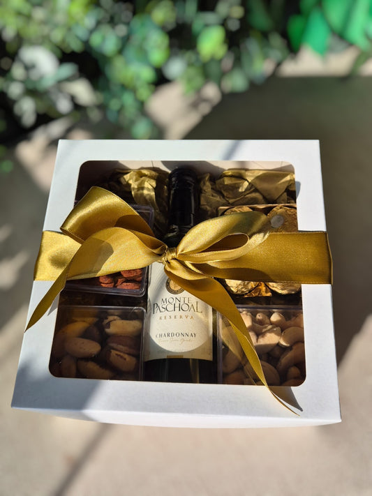 Kit Corporativo light 1